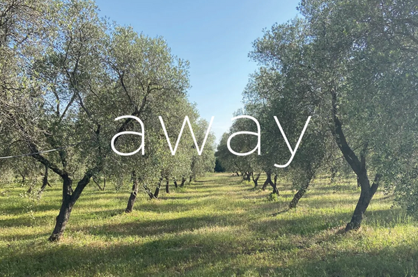 Stories from the Studio: AWAY